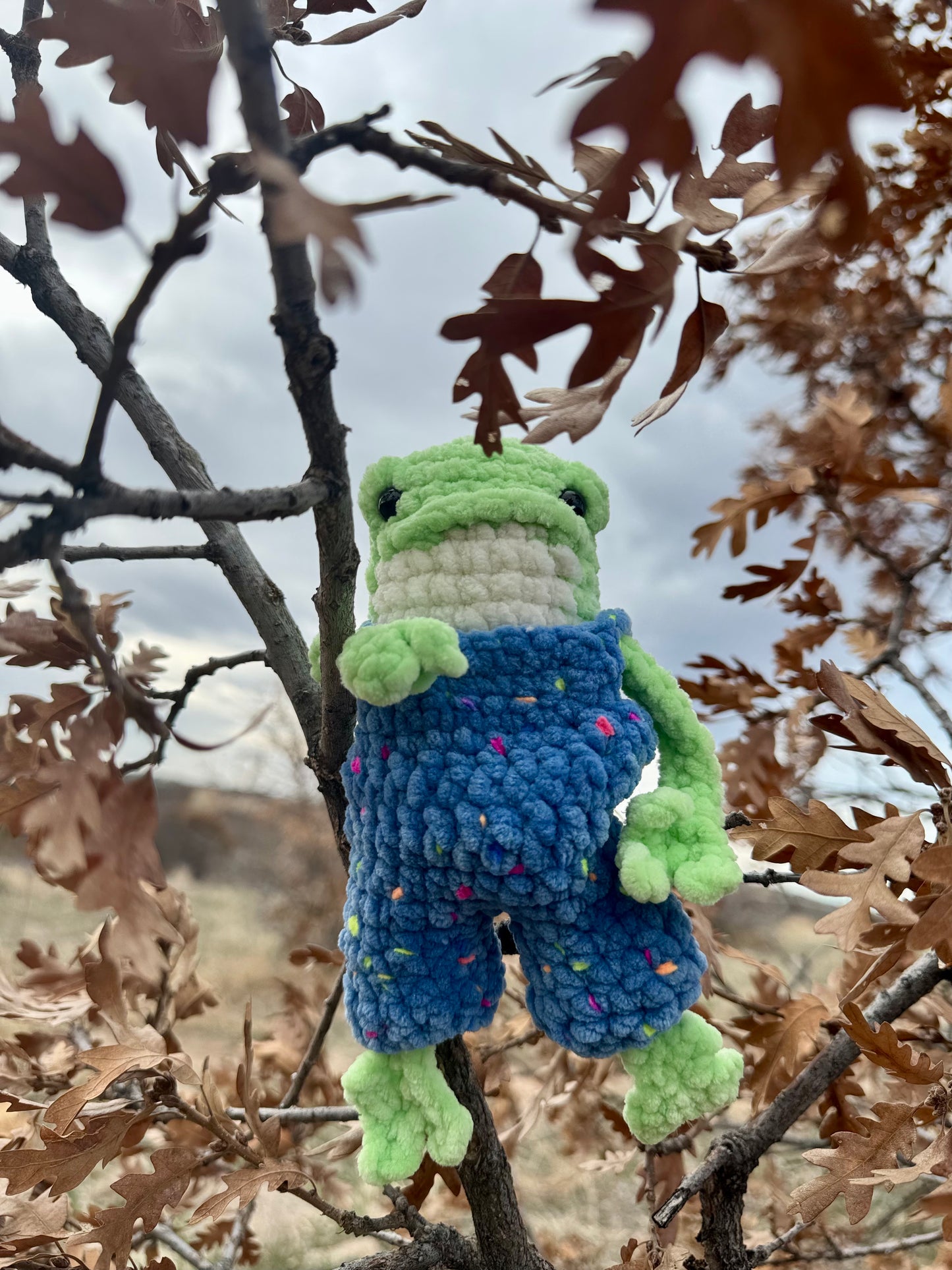 Finn the Froggy – Handmade Crochet Amigurumi Plushie