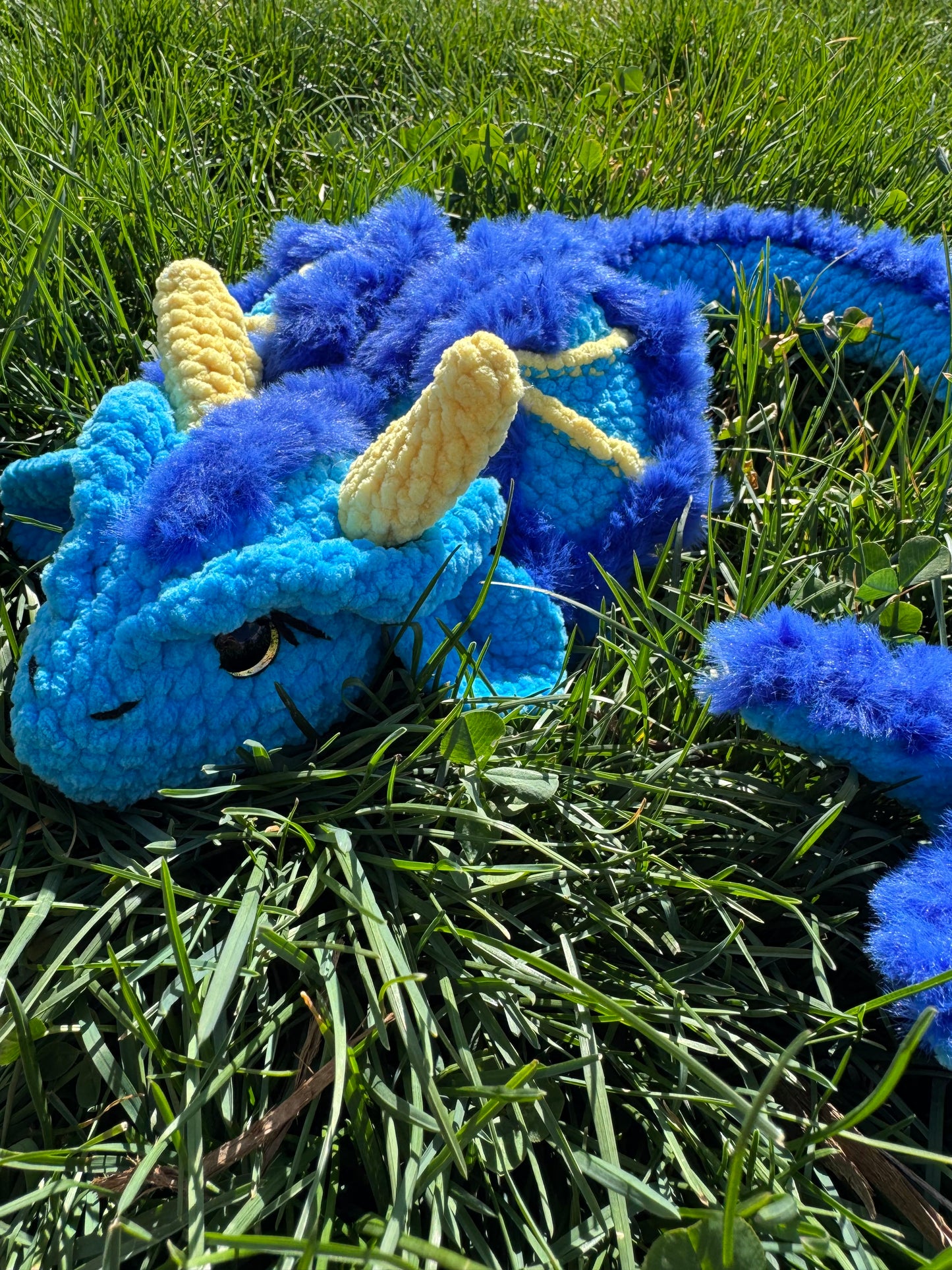 Zephyr the Dragon
